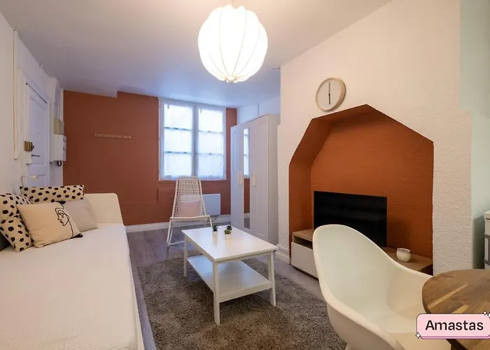 Cosy New Studio In Central Toulouse